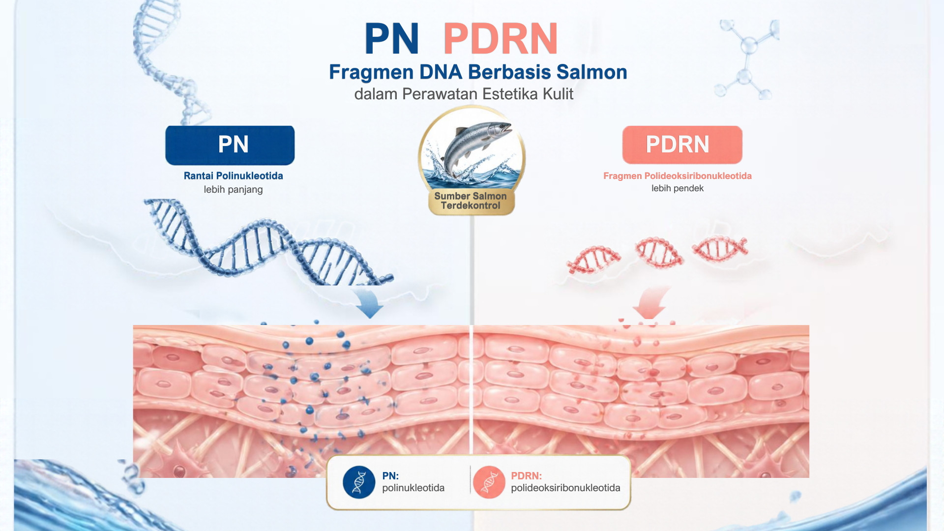 Kenali 5 Jenis Salmon DNA di Carla Skin Clinic dan Fungsinya!